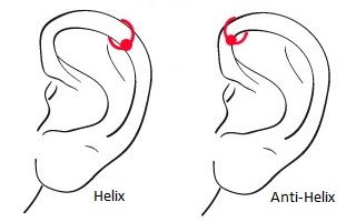 Tragus wildes fleisch