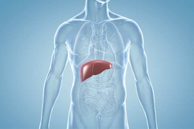 Hepatitis