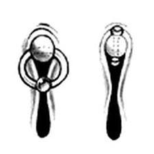 Klitorispiercing
