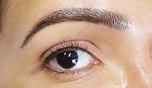 Permanent-Make-up-Lid