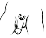 Pubic Piercing