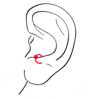 Anti Tragus ohr piercing