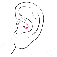 Daith ohr piercing Innen