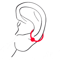 Inner Conch ohrpiercing groß
