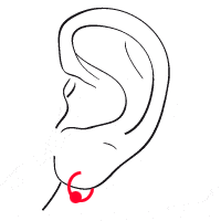 Lobe ohr piercing Ring Skizze