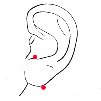 vertikal lobe ohr piercing Skizze