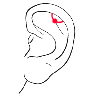 Orbital Piercing oben innen