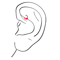 Rook ohr piercing Oben