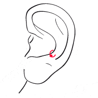 Snug ohr piercing Seite