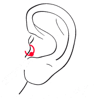 Tragus Piercing