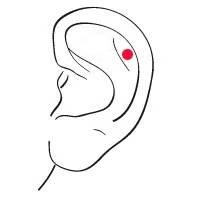 outer-Conch-Piercing